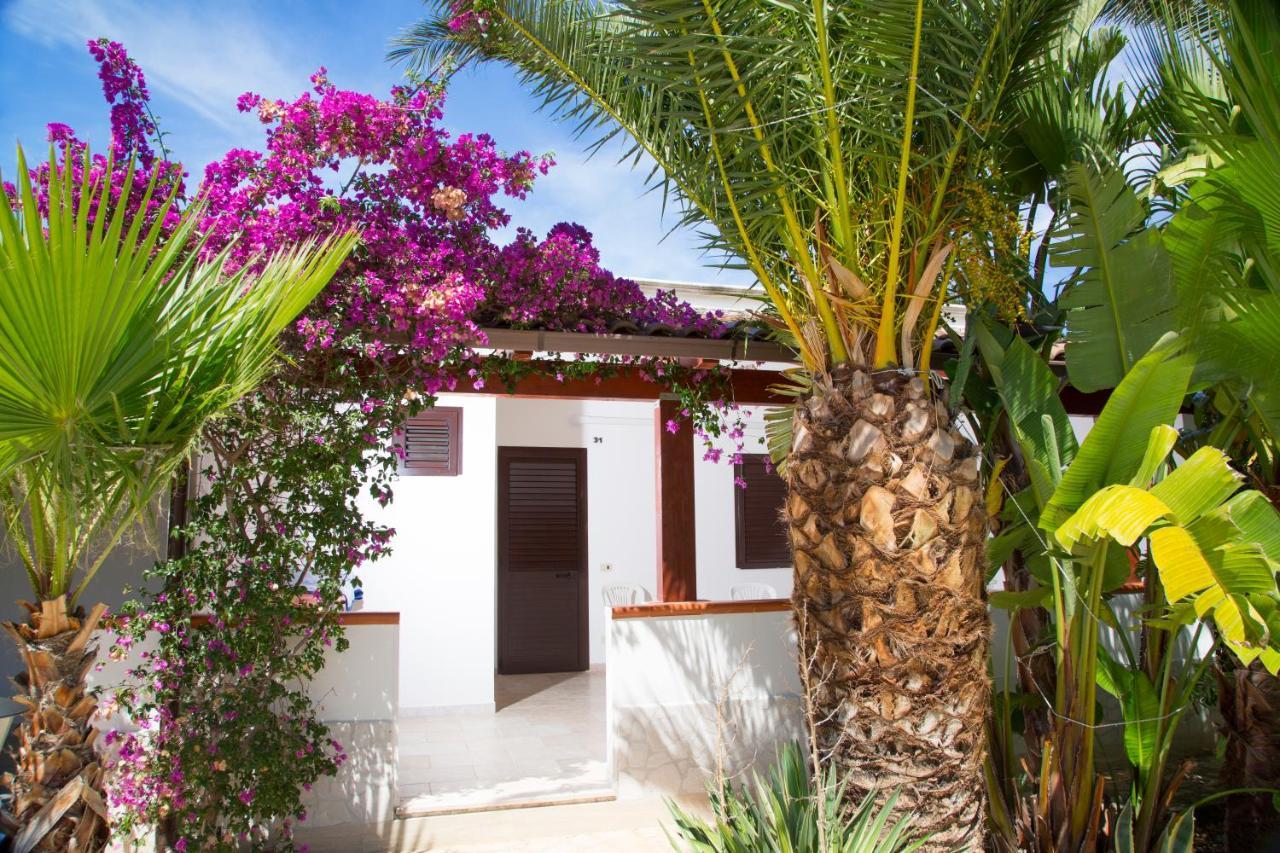 Residence La Conchiglia Vieste Esterno foto